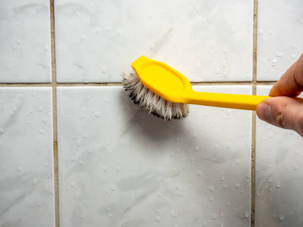 Best Black Mold Remediation in Trafalgar, IN