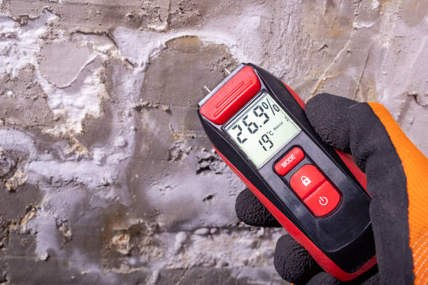 Best Residential Mold Remediation in Trafalgar, IN